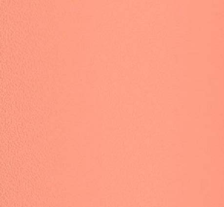 Peach   Stainless Steel